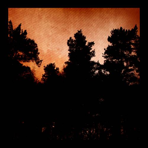 This Is Treason : Aspects of Cohesion